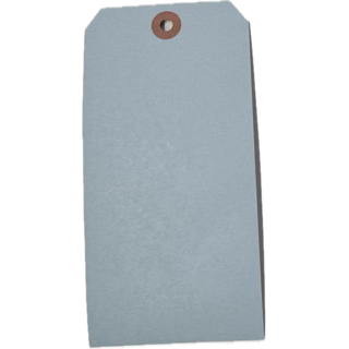LIGHT BLUE TAGS